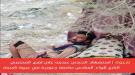 استشهاد جندي من اللواء السادس صاعقة جنوبية واصابة آخر بعبوة ناسفة في شبوة ...