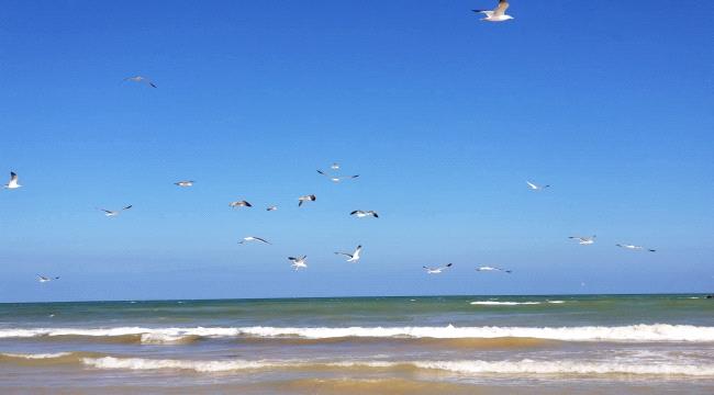 خفر السواحل في المهرة تُحذّر من ارتياد البحر والسفر إلى سقطرى ...