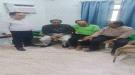 بتوجيهات من هرهرة.. وفد من الجمعية الوطنية يطمئن على صحة المناضل صبري شائف ويؤكد اهتمام القيادة بكوا ...